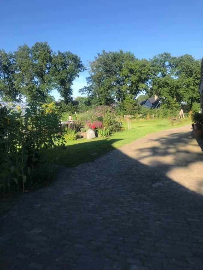 Assen-Groningen-Saunacabine Vries Екстериор снимка